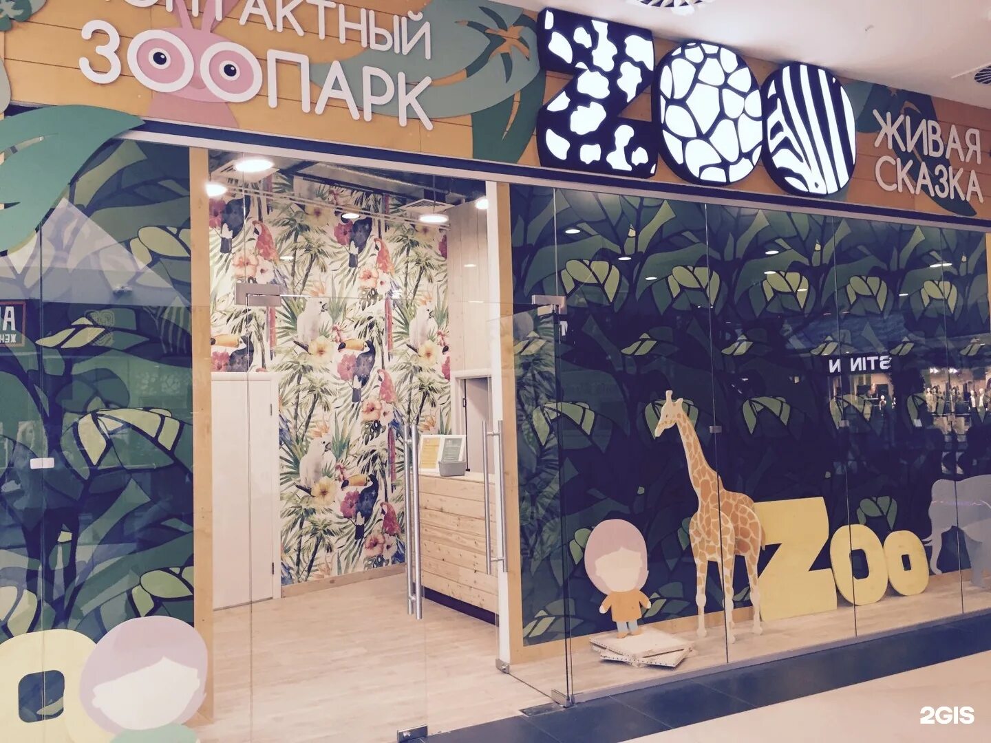 Контактный зоопарк тюмень колумб. Контактный зоопарк новокузнецк. Контактный зоопарк живая сказка новокузнецк. Контактный зоопарк живая сказка новокузнецк. Контактный зоопарк живая сказка.