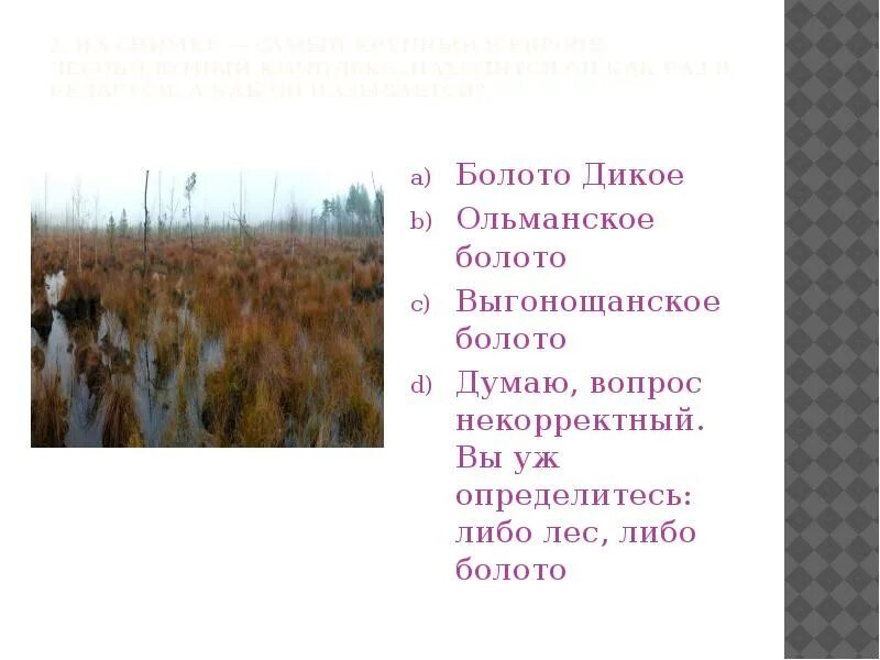 Название болот. Сусанинское болото на карте. Координаты болота дикое. Дикие топи.