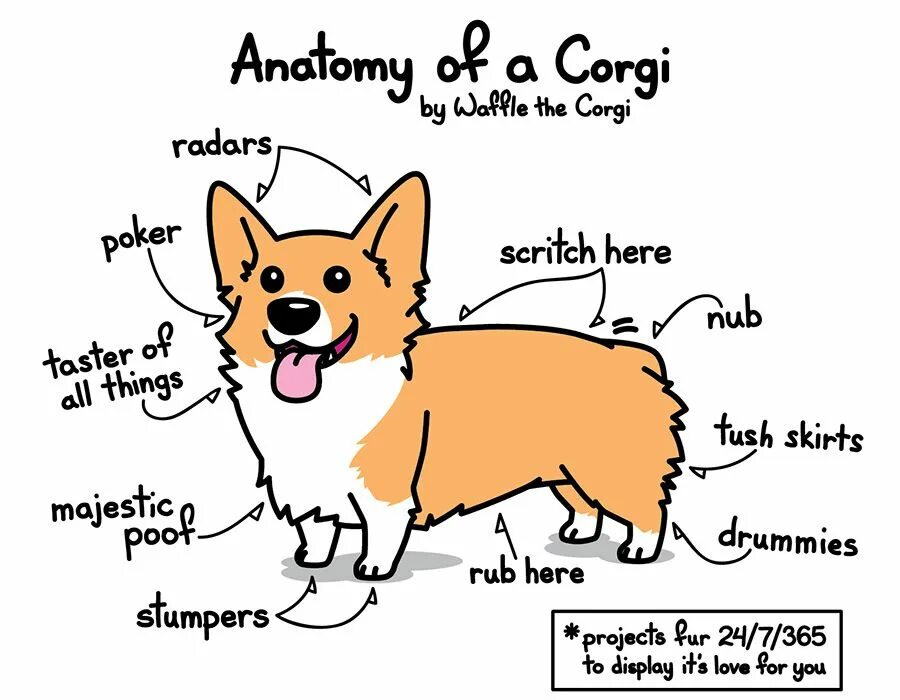 Literary Ligase: Books as Corgis