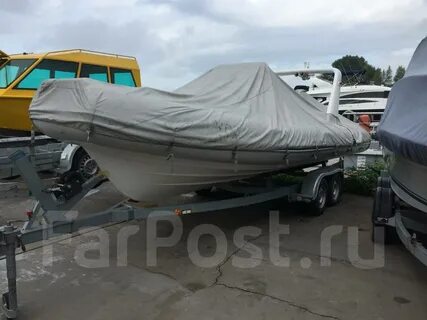 Rib 6