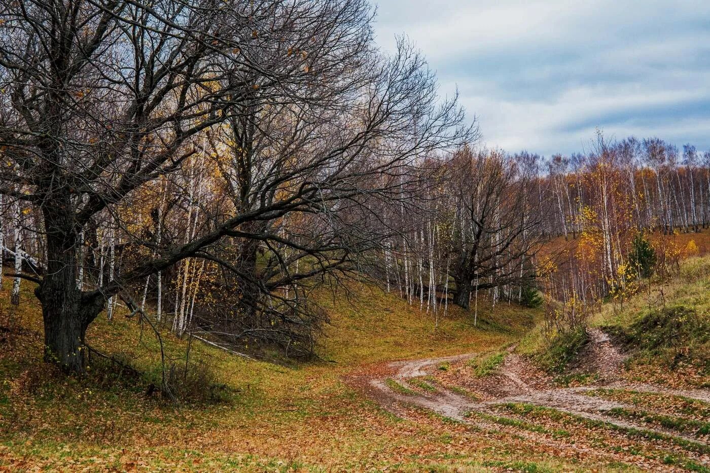 Картинки поздней. Гора Балабушка поздняя лсунь. Гора Балабушка поздняя осень. Поздняя поздняя осень. Осень поздняя пригород.