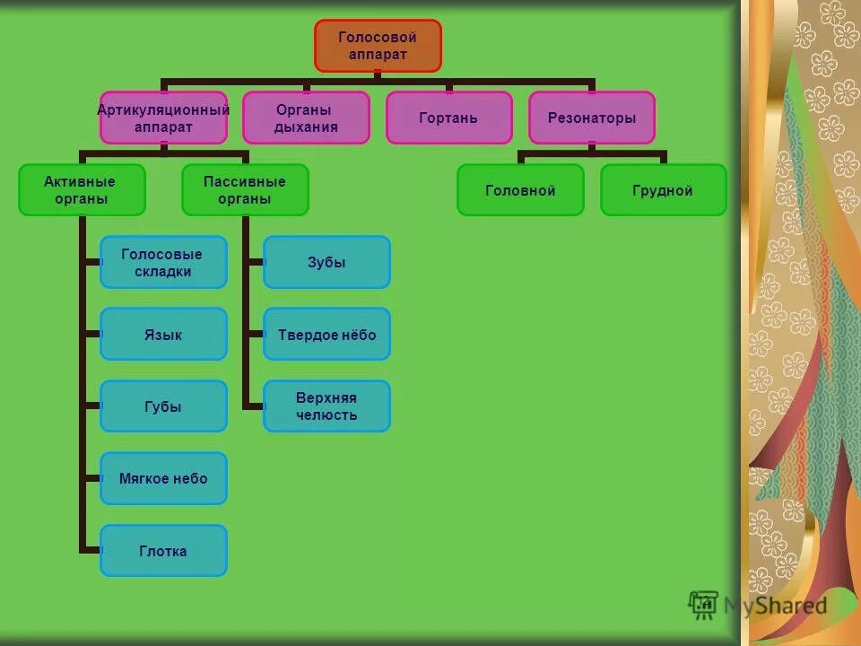 активные и пассивные органы