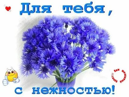 С днем рождения василек