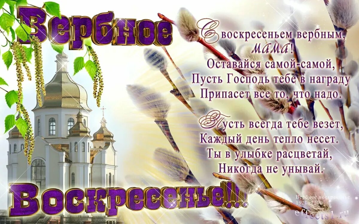 Вербное воскресенье пожелания. Вербное воскресенье поздравления. с вербным воскресеньем открытки. поздравления с вербным воск. с вербным воскресеньем открытки с поздравлением.