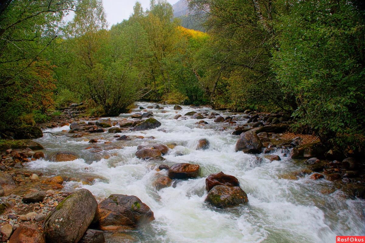 Слушать течет река бежит река. Река по камушкам. Бежит река. А по камушкам речка бежит. Течет река бежит река.