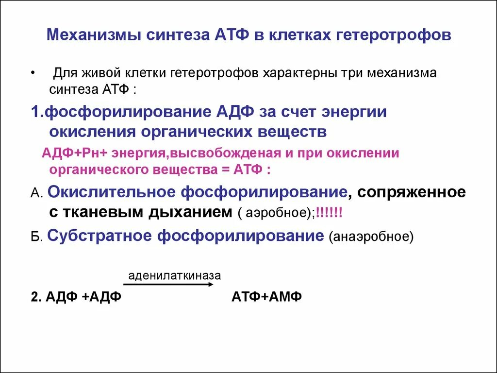 Пути фосфорилирования атф. Механизме биосинтеза АТФ. Механизм синтеза АТФ путем окислительного фосфорилирования.