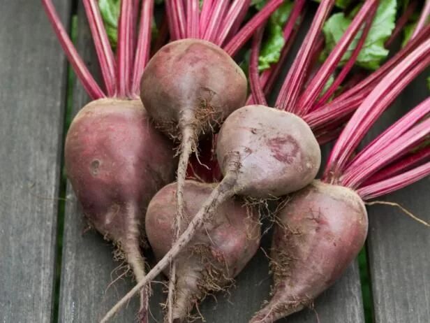 Корнеплоды?. Красная свекла. Побег корнеплода свеклы. Редиса, свеклы. Клубень свеклы.
