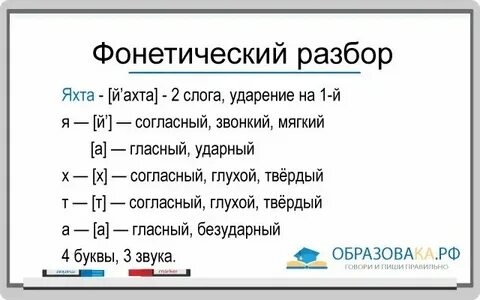 Вью разбор 1
