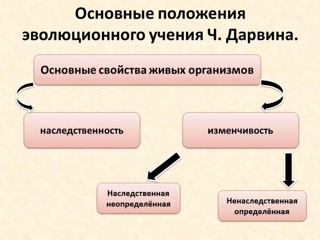 Дарвин считал наследственную изменчивость предпосылкой эволюции. 4 движущие силы эволюции по дарвину. Какие формы изменчивости различал ч дарвин. Какие формы изменчивости различал дарвин. Дарвин считал наследственную изменчивость предпосылкой эволюции.