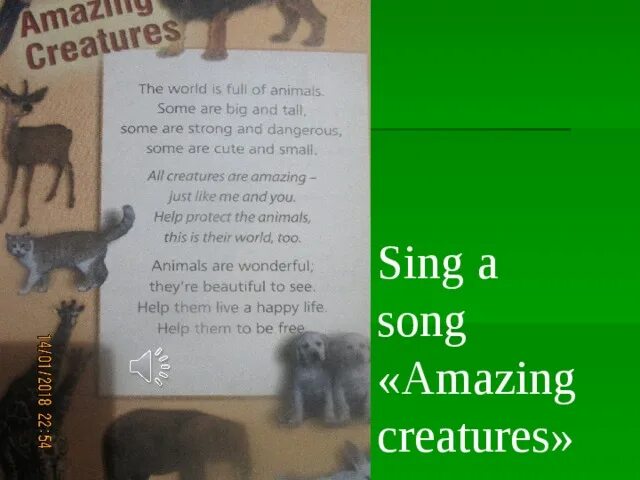 Amazing creatures 5. Amazing creatures 5 класс. amazing creatures 5 класс стих. стих на английском языке amazing creatures. английский язык 5 класс amazing creatures.