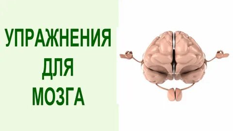 Лучше работу головного мозга