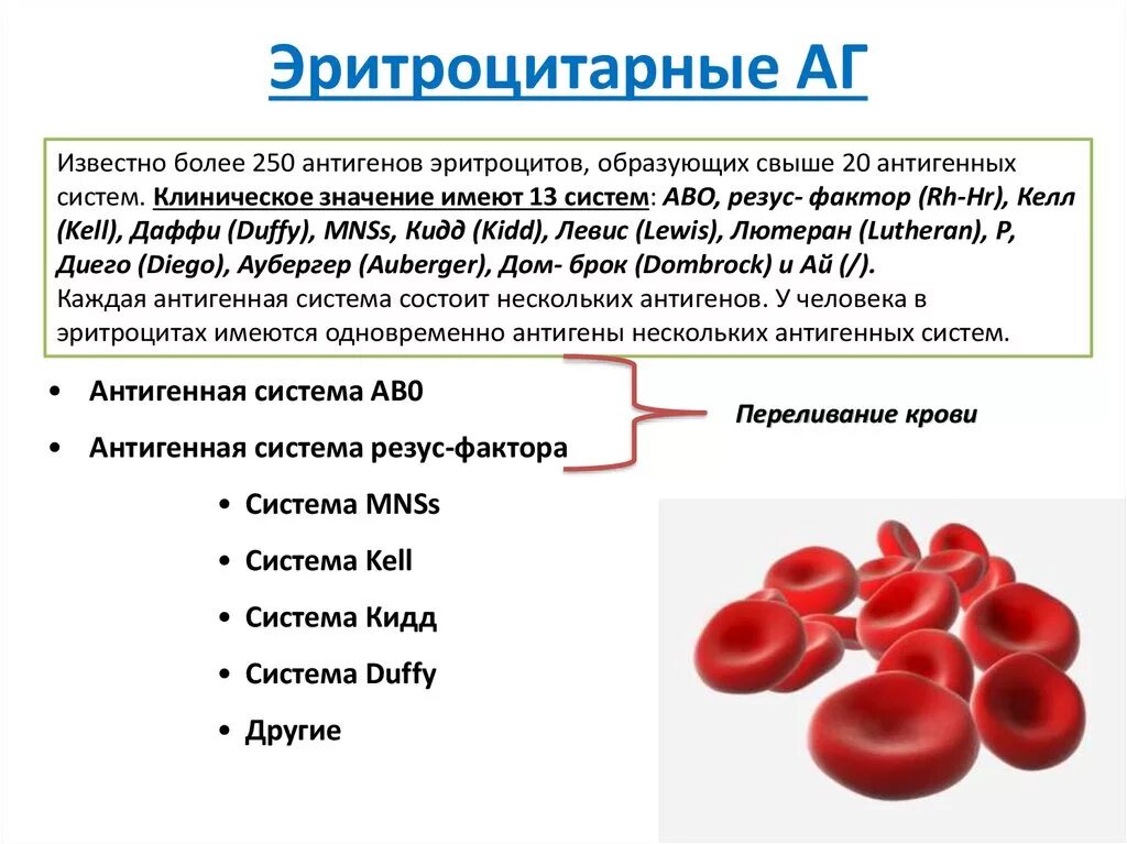Что значат эритроциты в крови