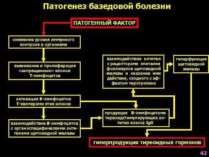 Диффузный токсический зоб патогенез. Патогенез болезни Грейвса схема. Патогенез болезни Грейвса патофизиология. Механизм развития базедовой болезни. Признаки патогенеза