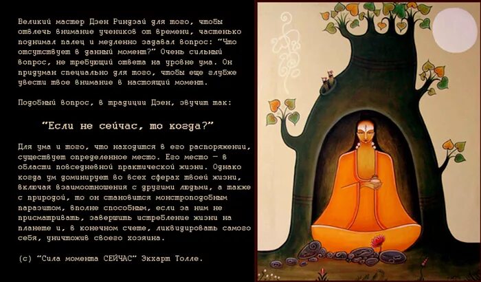 Саныч дзен рассказ сегодня старуха. Притча о Будде. Дзен цитаты. Притча о буддизме. Дзен буддизм фразы.