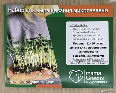 Инструкция по выращиванию микрозелени