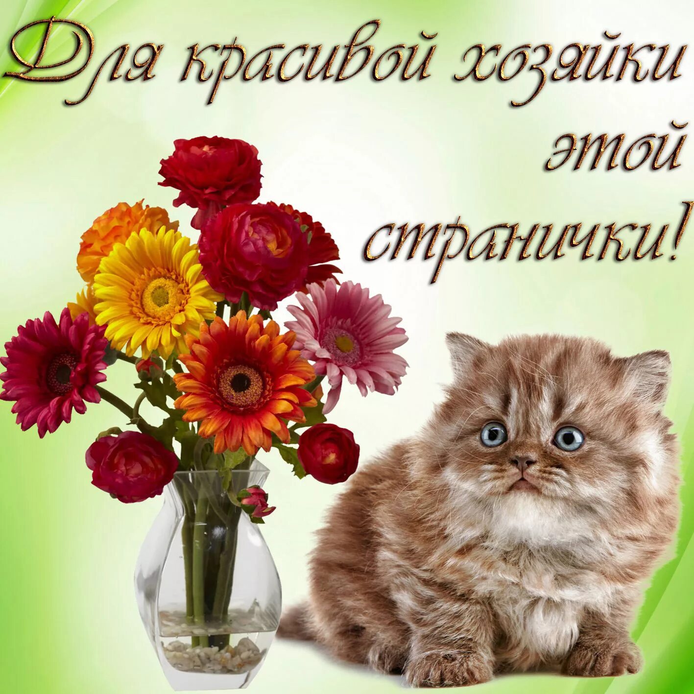 Сайт добрых пожеланий