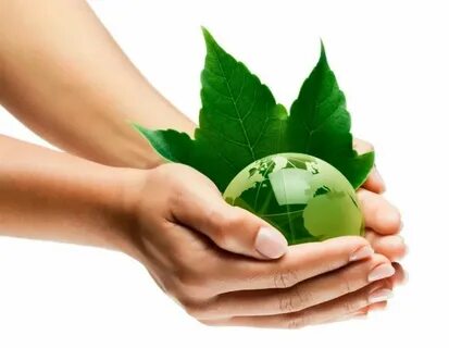 Environment окружающая среда