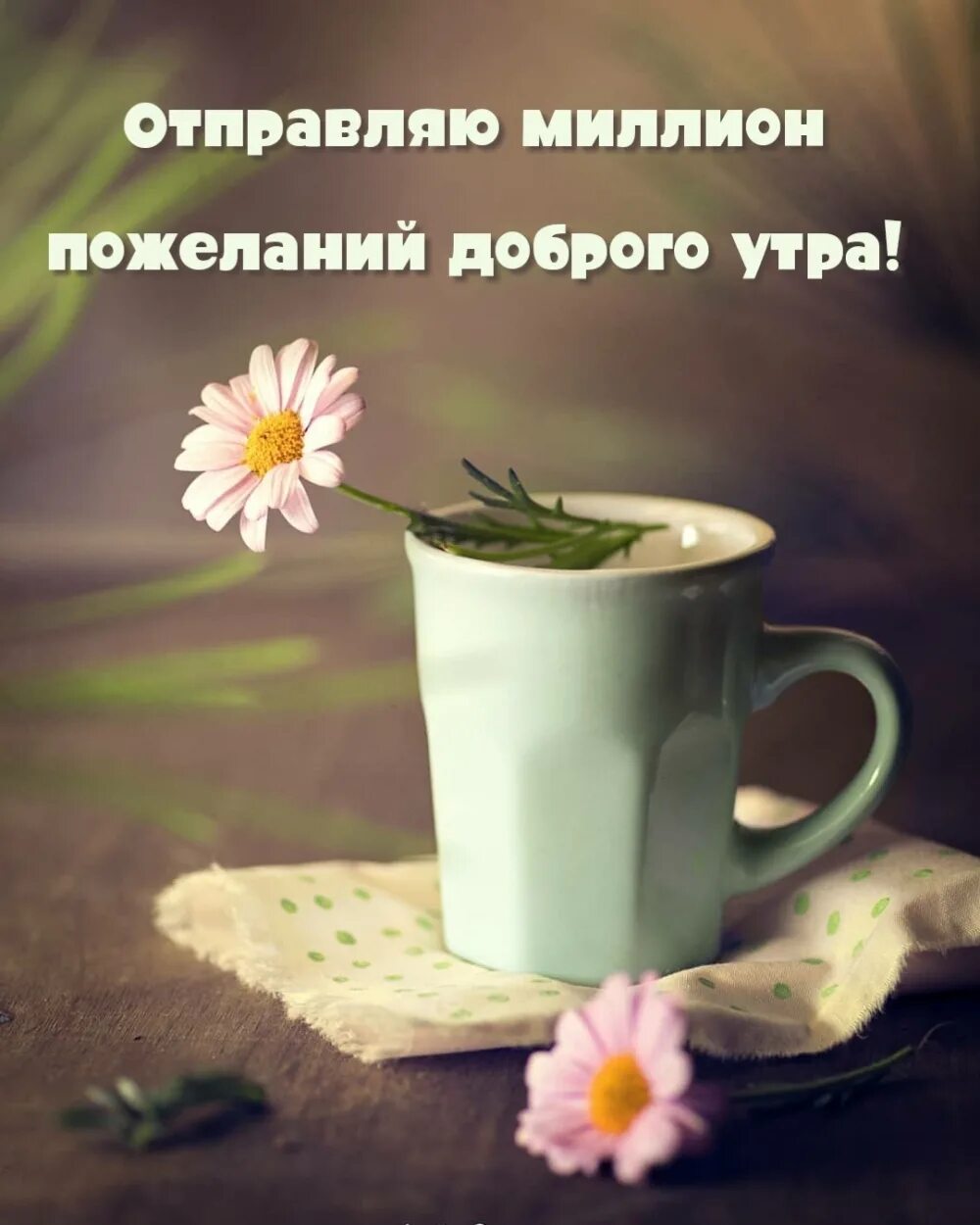 Утро ю а. Славного утра. утро доброе настало. славного утра и доброго. пожелания с добрым утром в военное время.