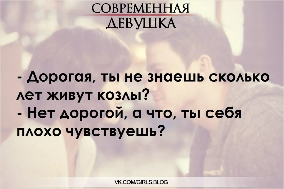 Сколько лет там живешь. Дорогая ты не знаешь сколько живут козлы. Я плохо себя чувствую. Дорогая а козлы долго живут. Муж жене а козлы долго живут.