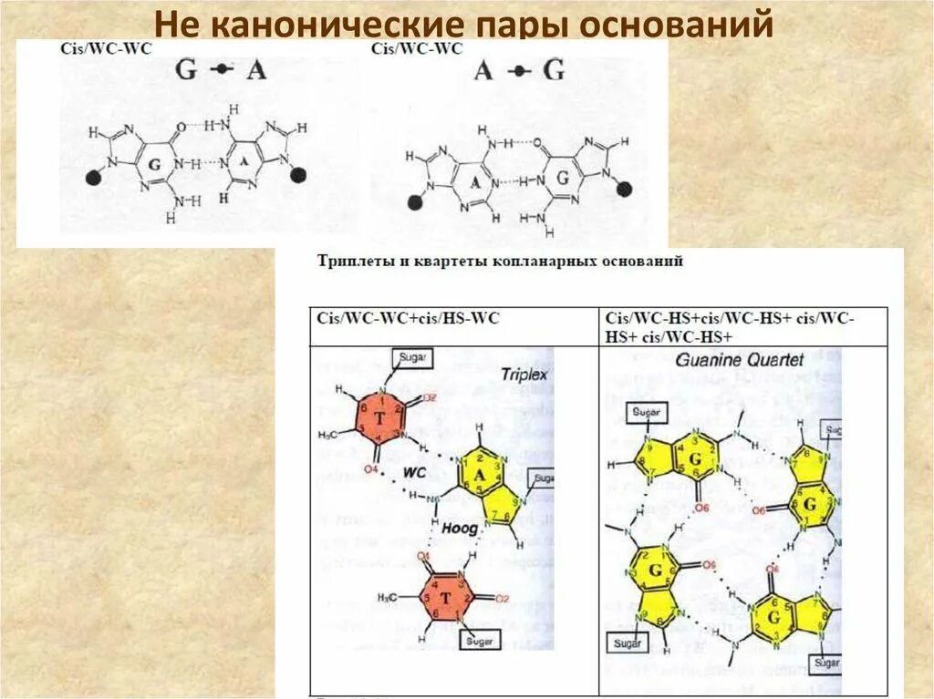 Каноничные пары