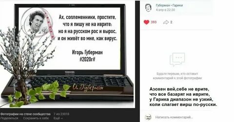Зохен вей перевести на русский