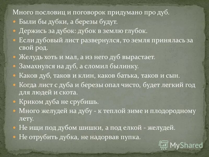 Много пословиц много. Пословицы и поговорки о дубе. Пословицы и поговорки много. Поговорки про дуб. Кто придумал поговорки