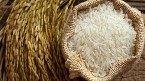 Rice
