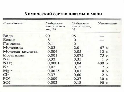 Хим состав почек