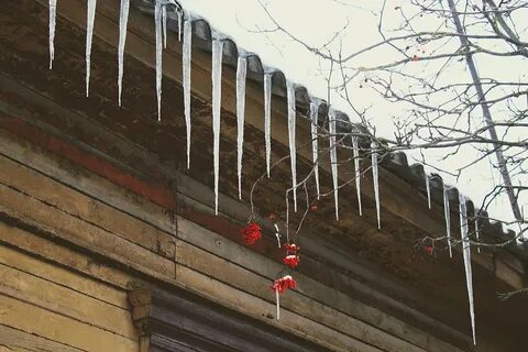 Ушли из жизни в бобруйске в ноябре
