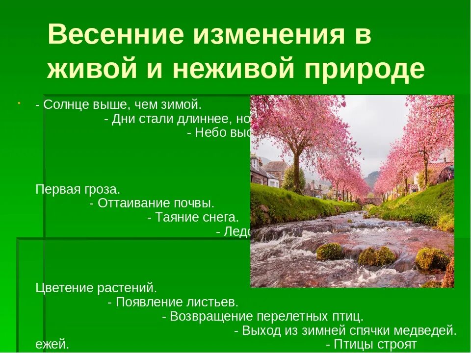 Явления живой и неживой природы весной. Весенние явления природы. Сезонные изменения в живой природе весной.