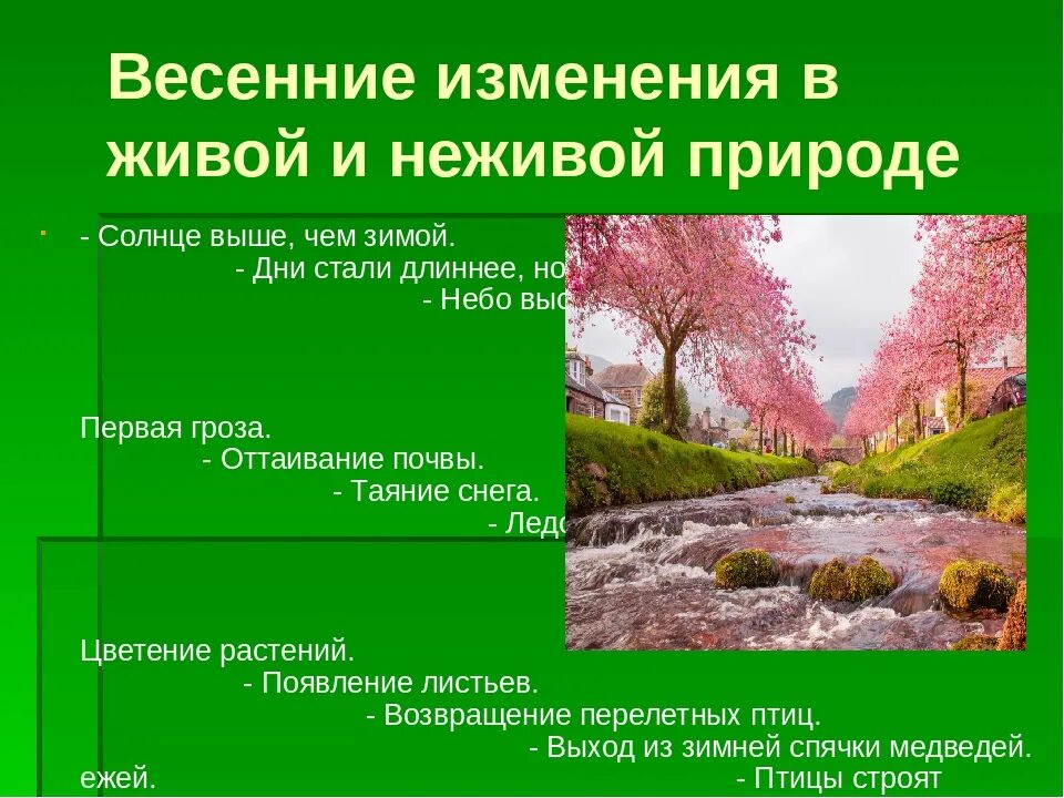 Явление природы весной 2 класс. Весенние явления природы. Сезонные изменения в живой природе весной.