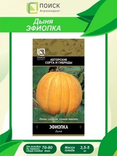 Семена дыни эфиопка