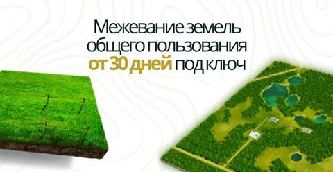 Общий земельный участок это