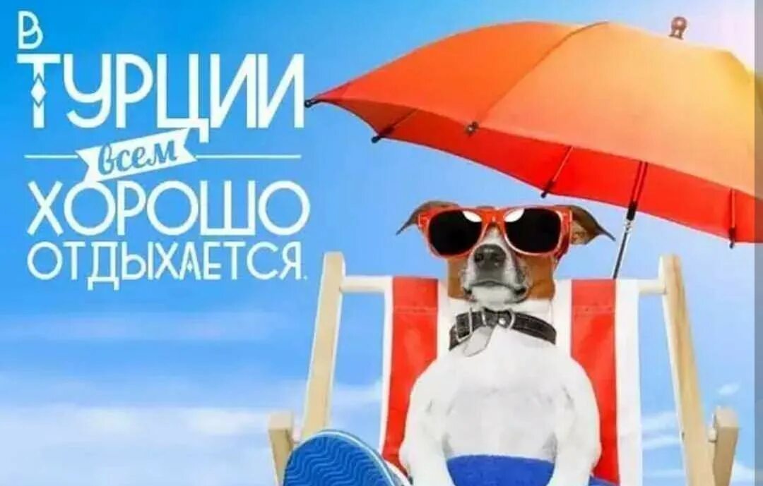 Предложения отдохнуть. Реклама отдыха в турции. горящий тур в турцию. турция выгодные предложения. турция надпись.