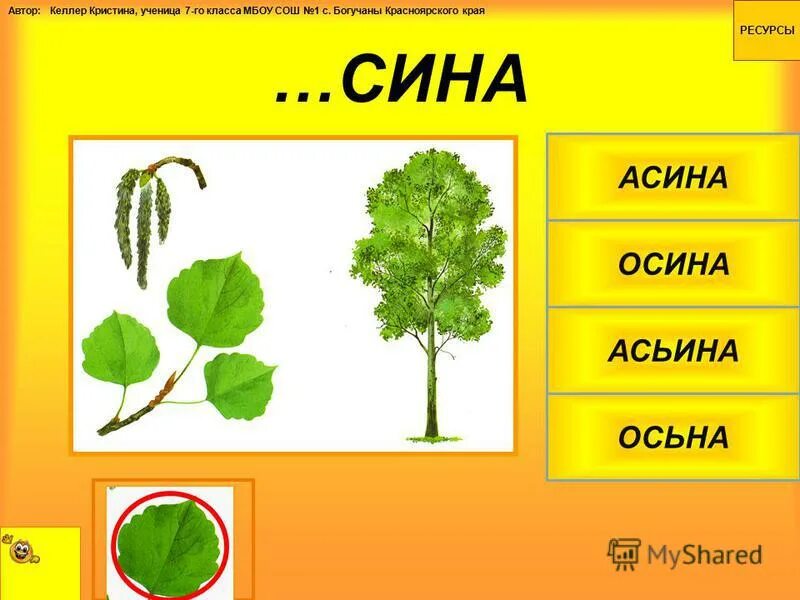 как правильно пишется растение или ростение