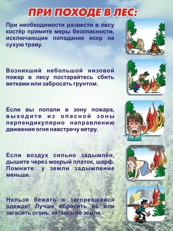 Поведение в лесу летом. Памятка безопасность в лесу в летний период. Пожарнаяюезопасность в лнсу. Памятки по безопасности в лесу пожары. Правила поведения в Дему.