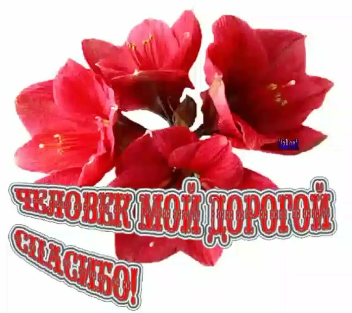 Подарки со спасибо