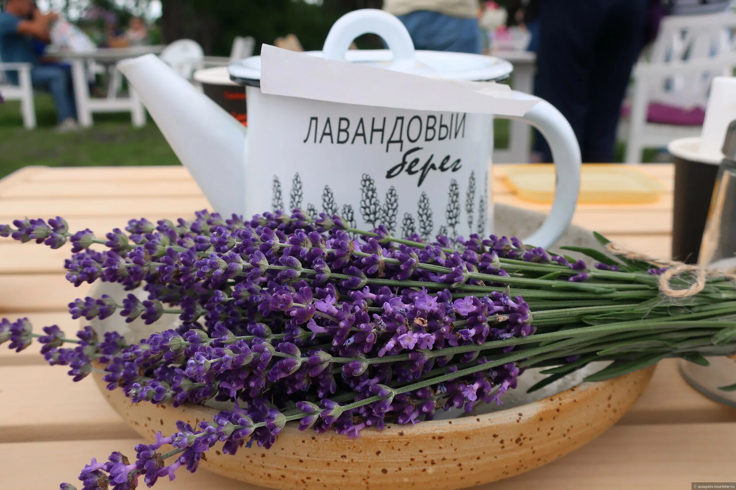 Лавандовое поле семигорье. Лавандовый берег курская область. Усадьба прованс. Лавандовая ферма новороссийск. Лавандовая ферма курск.