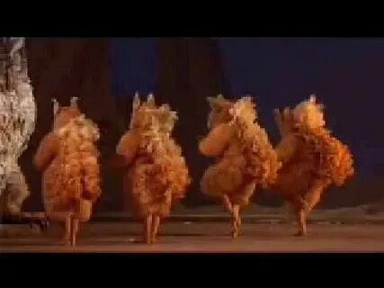 Танцующая белка видео