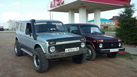 Нива глазов