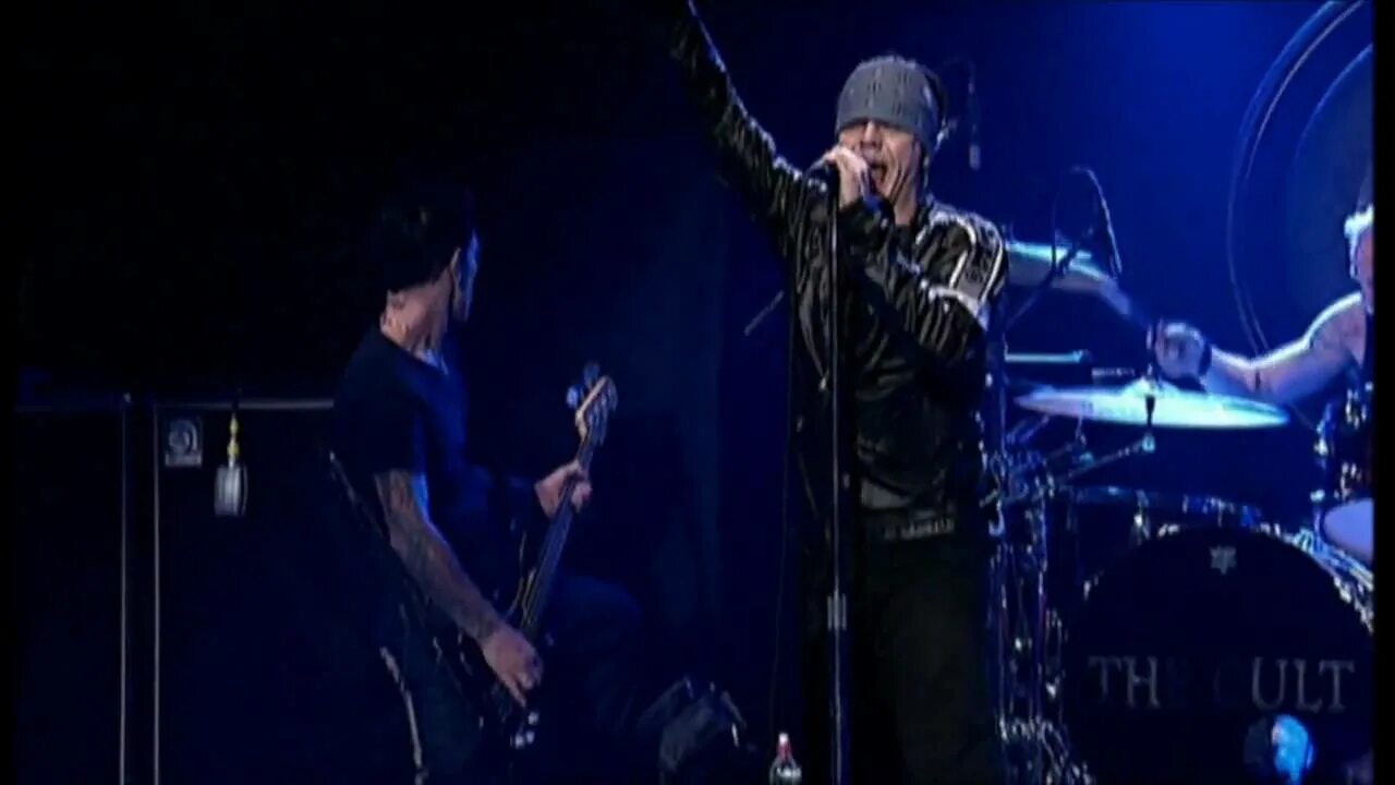 The cult rise. Cult of fire обложка. (best of return to the wild us tour). The cult rise. The cult cult comp.