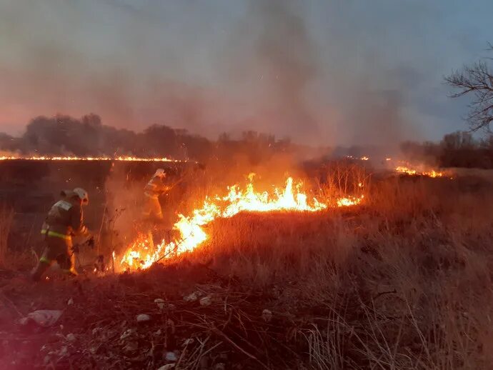 Сгоревшая трава. Пристенский район пожары. Пожар в Пристенском районе Курской области. Горение травы поселок Ближний береговой.