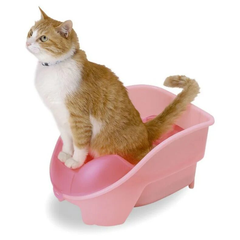 Котенок ходит в горшок. Горшок для кошек. маленький горшок для кота. кот в горшке. кошка в горошек.