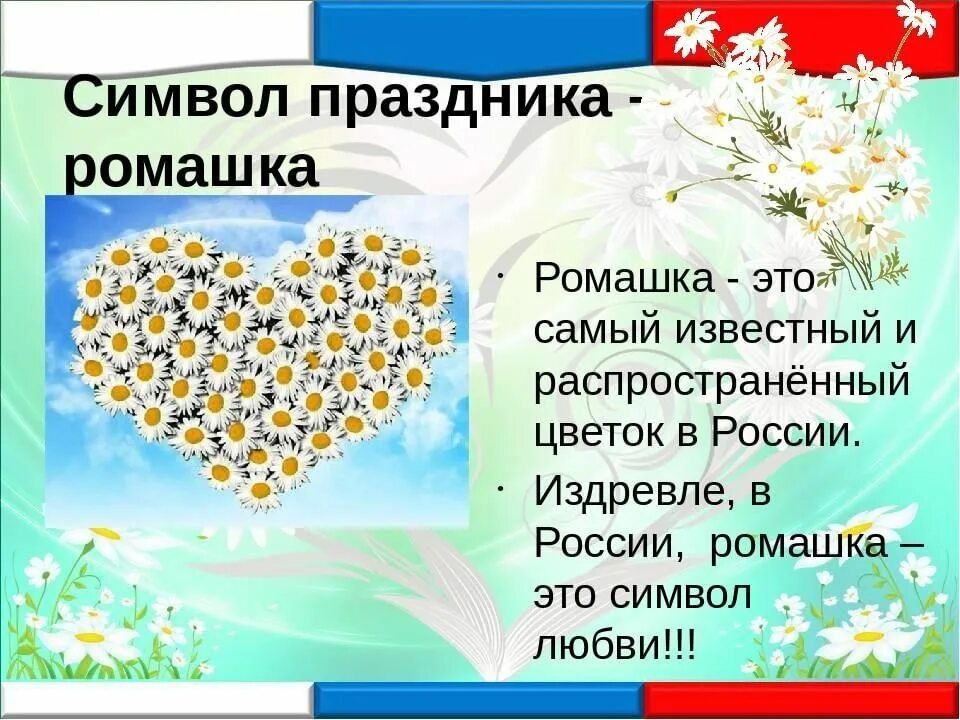 День семьи символ ромашка. Ромашка символ праздника 8 июля. Ромашка символ семьи любви и верности. Ромашка символ семьи. Символ праздника день семьи любви и верности.