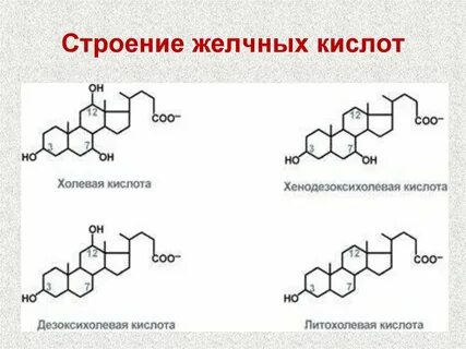 Напишите строение