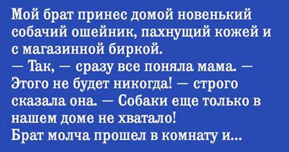Братья по разуму мем. Брат молчит. Не молчи скажи мне хоть пару слов текст. Братья молча постояли да в затылке почесали схема предложения. Не молчи скажи хоть пару слов.