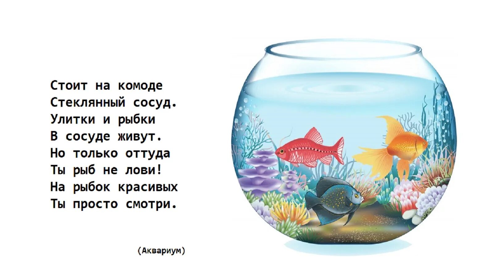 В двух аквариумах было 36 рыбок. Стишки про аквариумных рыбок. Загадки про аквариумных рыбок для детей. Загадка про аквариум. Стихи про аквариумных рыбок для детей.