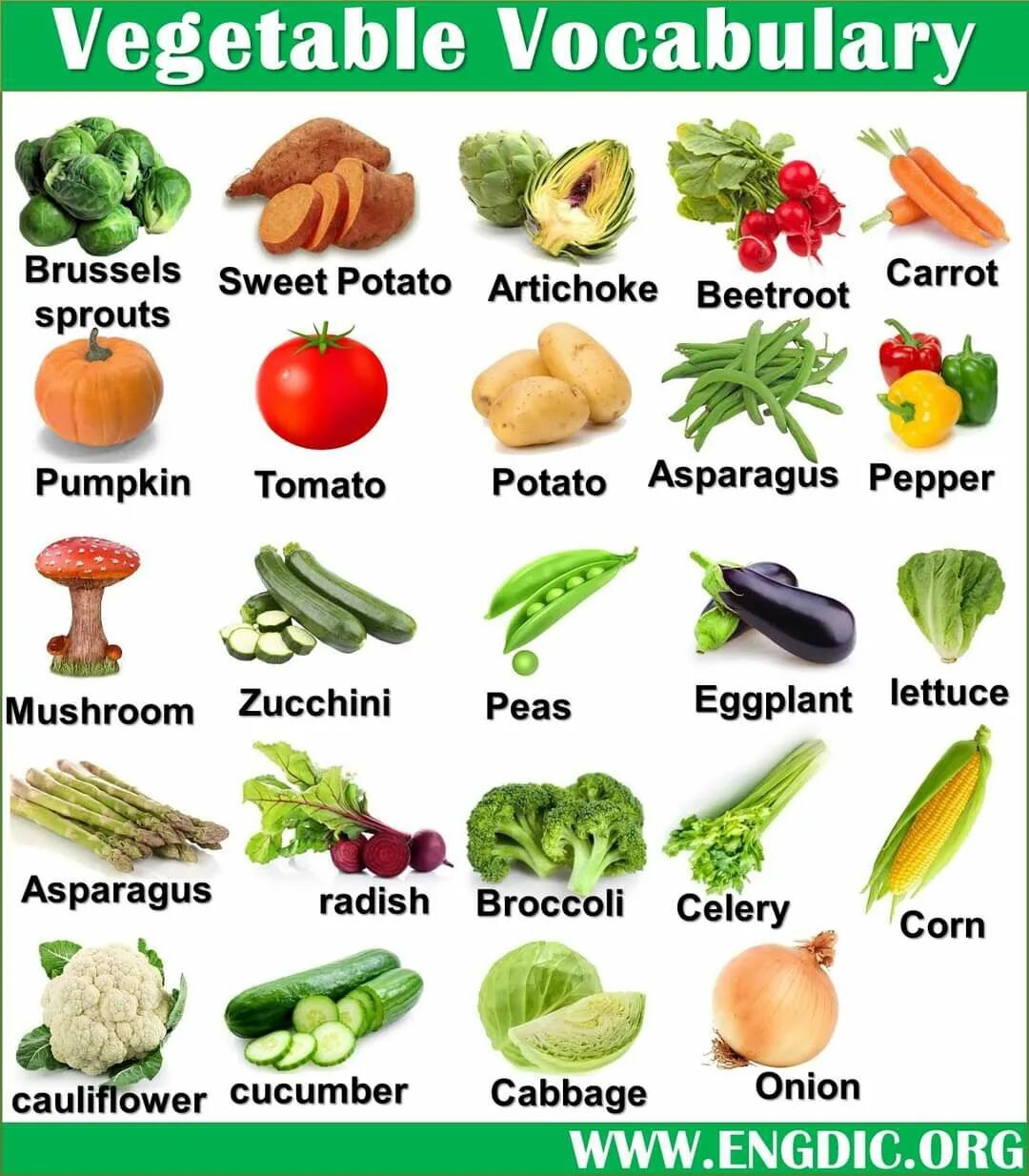 Vegetables vocabulary