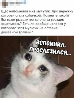 Замученный дорогой текст