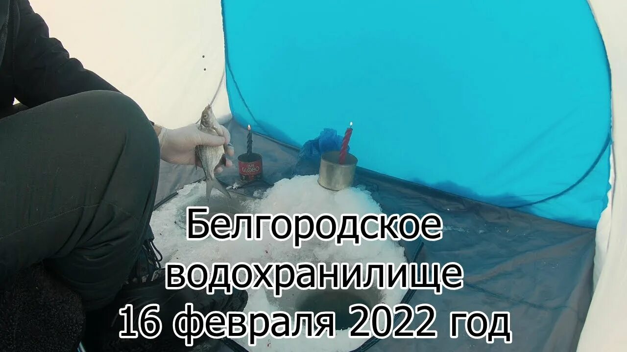 Рыбалка в белгородской области 2024. Добрая Воля рыбалка Белгород. Добрая Воля рыбалка Белгород сектора. Добрая Воля рыбалка.
